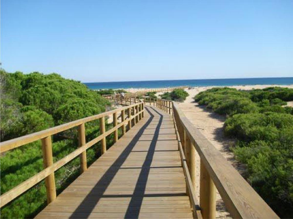 Casa De Kiwi Villa Santa Pola Esterno foto